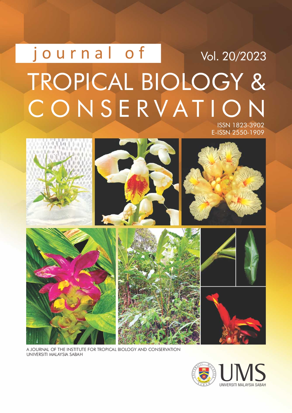					View Vol. 20 (2023): Journal of Tropical Biology and Conservation
				